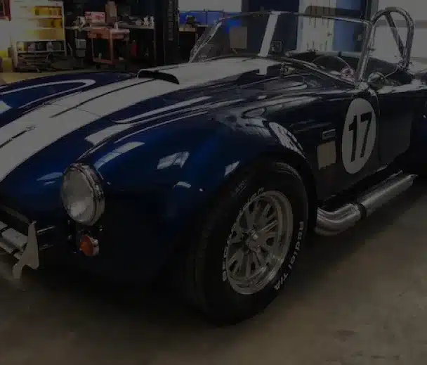 custom paint cobra custom paint cobra