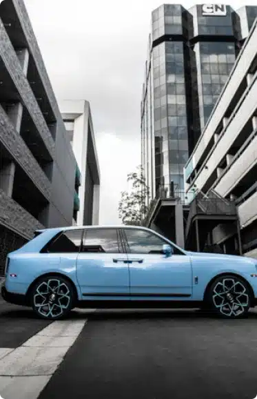pazi performance blue rolls pazi performance blue rolls