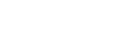 pazi performance logo